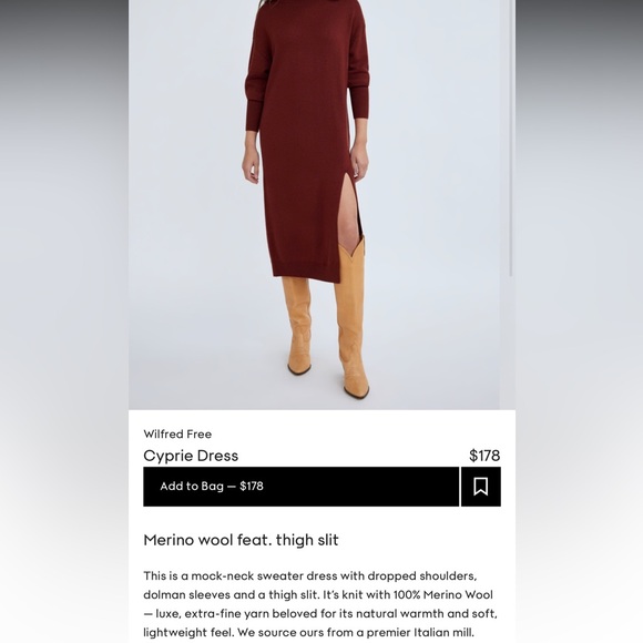 Aritzia Cyprie sweater dress - Picture 3 of 7